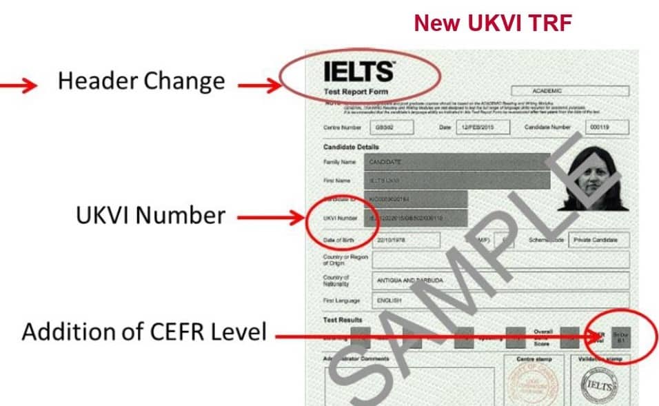 Buy IELTS UKVI Certificate Without Exam